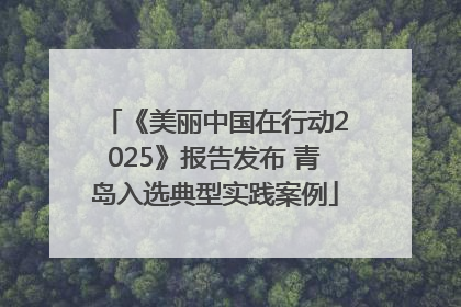 《美丽中国在行动2025》报告发布 青岛入选典型实践案例