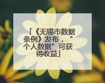 《无锡市数据条例》发布，“个人数据”可获得收益