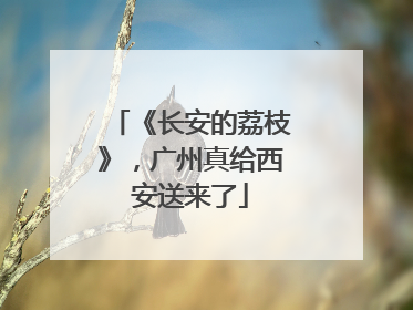 《长安的荔枝》，广州真给西安送来了