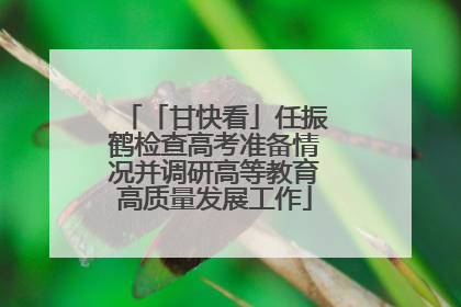 「甘快看」任振鹤检查高考准备情况并调研高等教育高质量发展工作