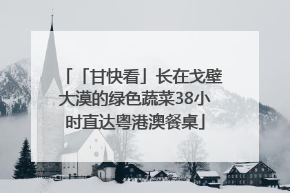 「甘快看」长在戈壁大漠的绿色蔬菜38小时直达粤港澳餐桌