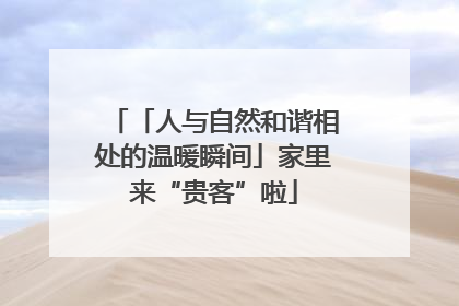 「人与自然和谐相处的温暖瞬间」家里来“贵客”啦