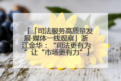 「司法服务高质量发展·媒体一线观察」浙江金华：“司法更有为”让“市场更有力”