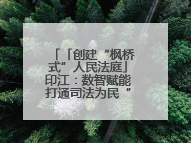 「创建“枫桥式”人民法庭」印江：数智赋能打通司法为民“最后一公里”