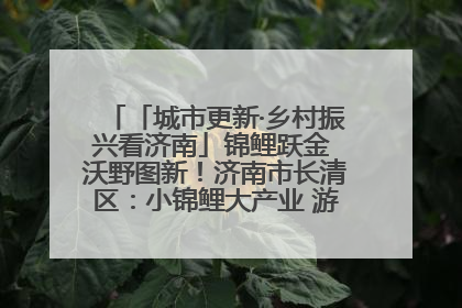 「城市更新·乡村振兴看济南」锦鲤跃金 沃野图新！济南市长清区：小锦鲤大产业 游出农旅新风景