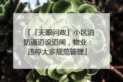 「天眼问政」小区消防通道设道闸，物业：违停太多规范管理