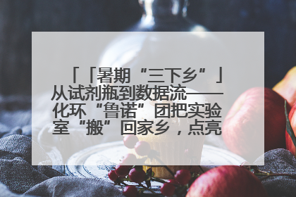 「暑期“三下乡”」从试剂瓶到数据流——化环“鲁诺”团把实验室“搬”回家乡，点亮桑梓求知路