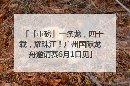 「重磅」一条龙，四十载，耀珠江！广州国际龙舟邀请赛6月1日见