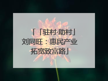 「驻村·助村」刘同旺：惠民产业拓宽致富路