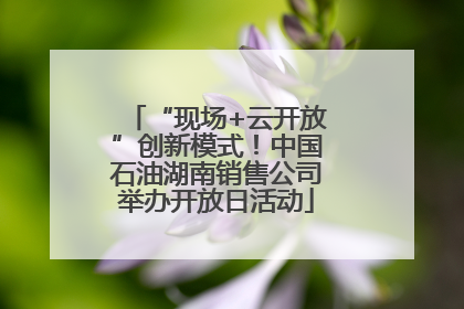 “现场+云开放”创新模式！中国石油湖南销售公司举办开放日活动