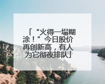 “火得一塌糊涂！”今日股价再创新高，有人为它彻夜排队