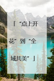 “点上开花”到“全域共美”