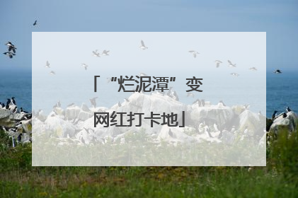 “烂泥潭”变网红打卡地