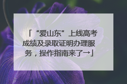 “爱山东”上线高考成绩及录取证明办理服务，操作指南来了→