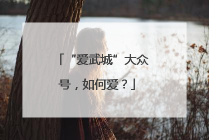 “爱武城”大众号，如何爱？