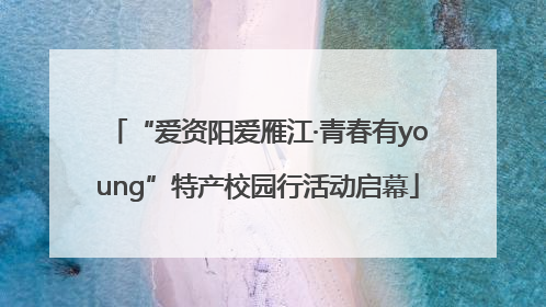 “爱资阳爱雁江·青春有young”特产校园行活动启幕