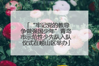 “牢记党的教导 争做强国少年”青岛市示范性少先队入队仪式在崂山区举办