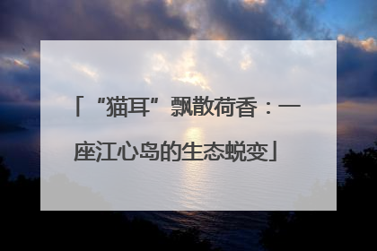 “猫耳”飘散荷香：一座江心岛的生态蜕变