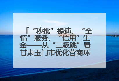 “秒批”提速、“全情”服务、“信用”生金——从“三级跳”看甘肃玉门市优化营商环境的进阶之路