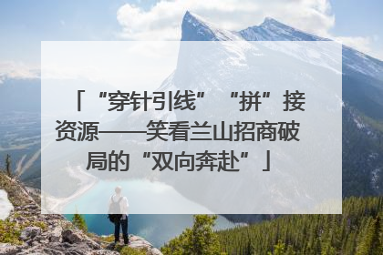 “穿针引线”“拼”接资源——笑看兰山招商破局的“双向奔赴”