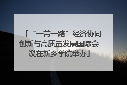 “一带一路”经济协同创新与高质量发展国际会议在新乡学院举办