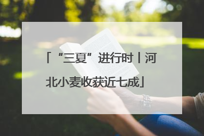 “三夏”进行时丨河北小麦收获近七成