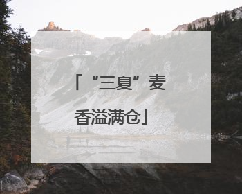 “三夏”麦香溢满仓