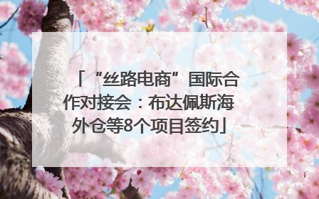 “丝路电商”国际合作对接会：布达佩斯海外仓等8个项目签约