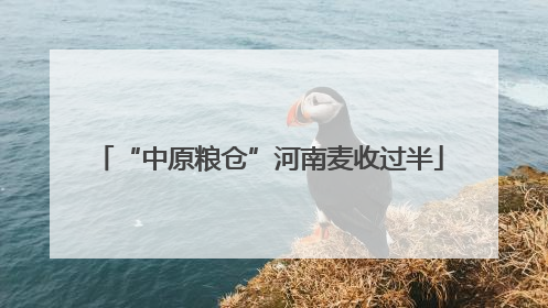 “中原粮仓”河南麦收过半