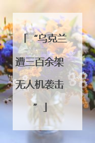 “乌克兰遭三百余架无人机袭击”