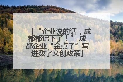 “企业说的话，成都都记下了！” 成都企业“金点子”写进数字文创政策