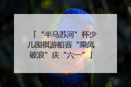 “半马苏河”杯少儿围棋游船赛“乘风破浪”庆“六一”