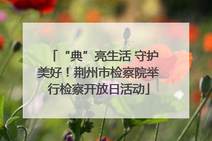 “典”亮生活 守护美好！荆州市检察院举行检察开放日活动