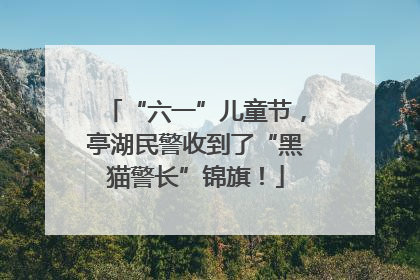 “六一”儿童节，亭湖民警收到了“黑猫警长”锦旗！