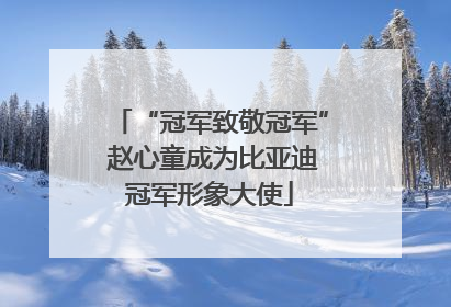 “冠军致敬冠军” 赵心童成为比亚迪冠军形象大使