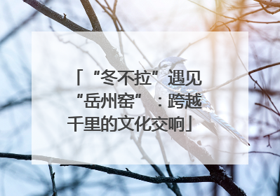 “冬不拉”遇见“岳州窑”：跨越千里的文化交响