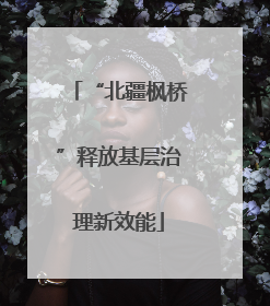 “北疆枫桥”释放基层治理新效能