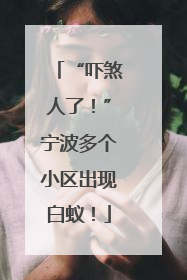 “吓煞人了！”宁波多个小区出现白蚁！