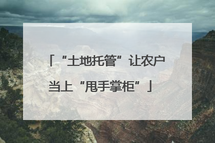 “土地托管”让农户当上“甩手掌柜”