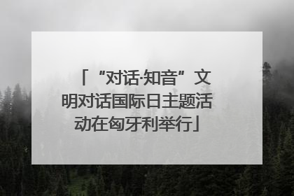 “对话·知音”文明对话国际日主题活动在匈牙利举行