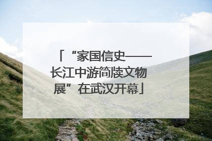 “家国信史——长江中游简牍文物展”在武汉开幕