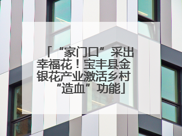 “家门口”采出幸福花！宝丰县金银花产业激活乡村“造血”功能