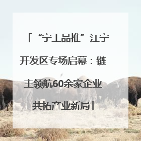 “宁工品推”江宁开发区专场启幕：链主领航60余家企业共拓产业新局