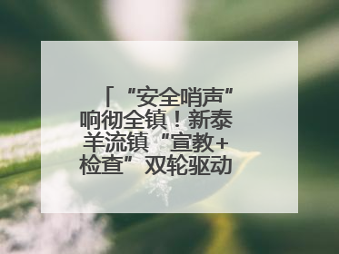 “安全哨声”响彻全镇！新泰羊流镇“宣教+检查”双轮驱动筑牢安全防线