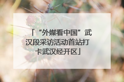 “外媒看中国”武汉段采访活动首站打卡武汉经开区
