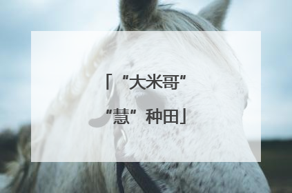 “大米哥”“慧”种田