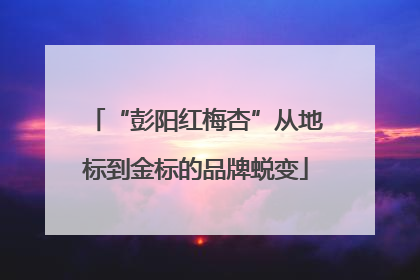 “彭阳红梅杏”从地标到金标的品牌蜕变