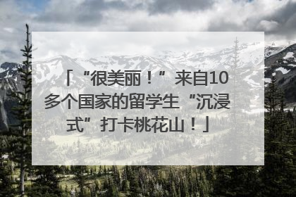 “很美丽！”来自10多个国家的留学生“沉浸式”打卡桃花山！