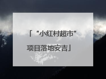 “小红村超市”项目落地安吉