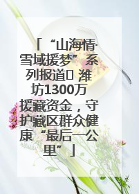 “山海情·雪域援梦”系列报道⑪ 潍坊1300万援藏资金，守护藏区群众健康“最后一公里”